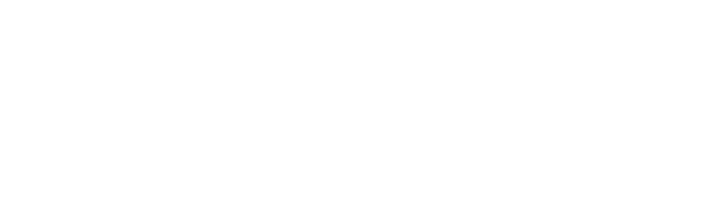 Logo Bizenco